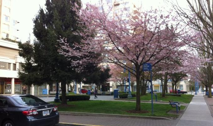 【选择加拿大移民公司的几点心得】价格,厂家